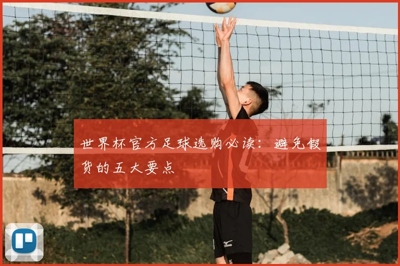 世界杯官方足球选购必读:避免假货的五大要点