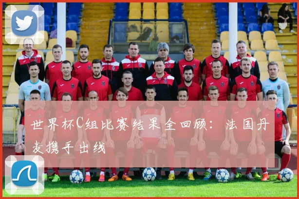 世界杯C组比赛结果全回顾:法国丹麦携手出线