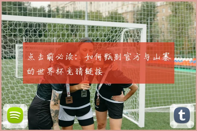 点击前必读:如何甄别官方与山寨的世界杯竞猜链接