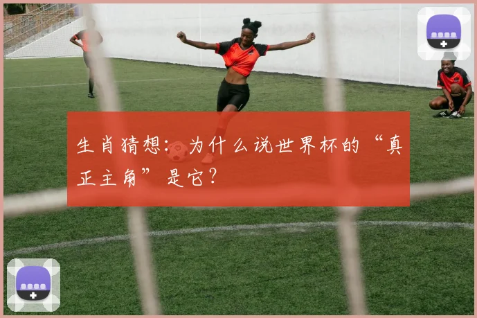 生肖猜想:为什么说世界杯的“真正主角”是它?