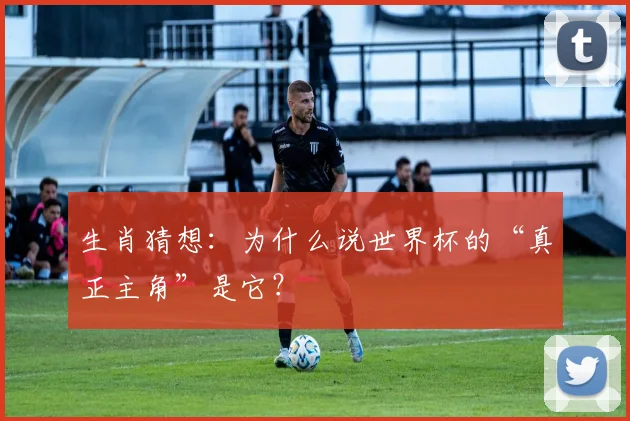 生肖猜想：为什么说世界杯的“真正主角”是它？