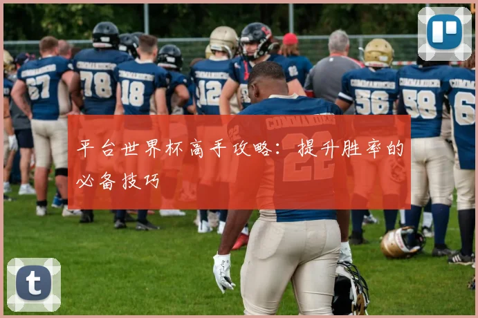 平台世界杯高手攻略:提升胜率的必备技巧