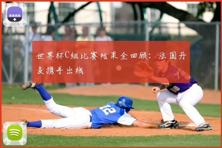 世界杯C组比赛结果全回顾:法国丹麦携手出线