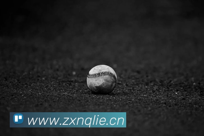 华体育会登录网官网发展历程